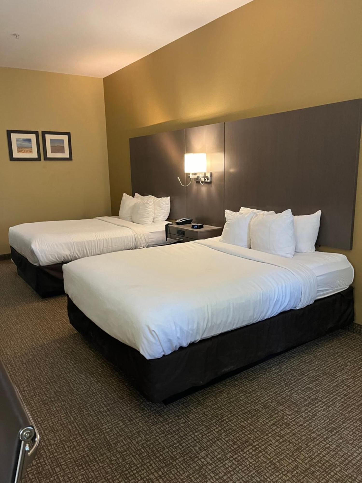 Comfort Inn & Suites Monahans I-20 Екстериор снимка